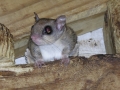 DSCN0261