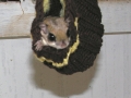 DSCN0520