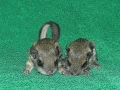 DSCN0860
