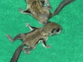 DSCN0865