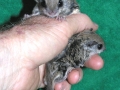 DSCN0874
