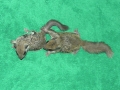 DSCN0880