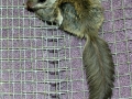 DSCN0899