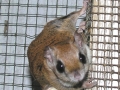 DSCN0981