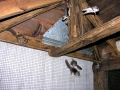 DSCN1024