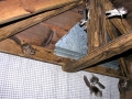 DSCN1024_2 (2)