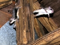 DSCN1024_2