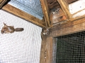 DSCN1026