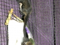 DSCN1070