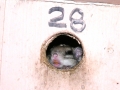 DSCN1404