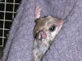 DSCN2526