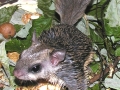 DSCN2569