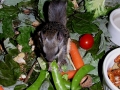 DSCN2626