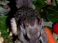 DSCN2627