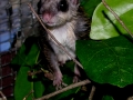 DSCN2634