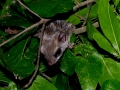 DSCN2635