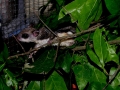 DSCN2636