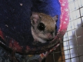 DSCN2829