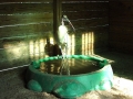 DSC00556