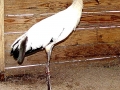DSC09966