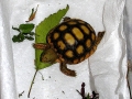 DSCN0533