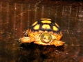 DSCN0535
