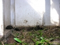 DSCN1790