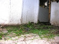 DSCN1791