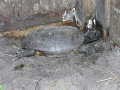 DSCN1839