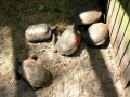 DSCN2058
