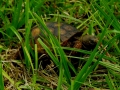 DSCN2664
