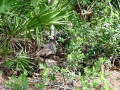 DSC00157