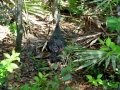 DSC00160
