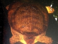 DSCN0355