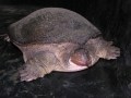 DSCN0417_1