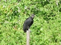 DSC00859