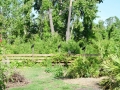 DSC00865