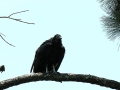 DSCN5548