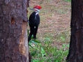 DSC01840_1