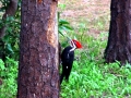DSC01841_1