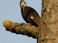 DSC01845_1