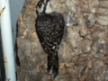 DCP_5644