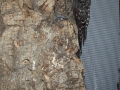 DCP_5647