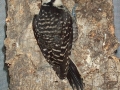 DCP_5658