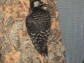 DCP_5872